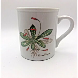 Vintage Coffee/Tea Mug Cup Botanical: The Toscany Collection Ferns Flowers Japan